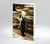 Der Gratulant